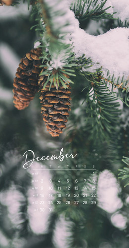 Wallpaper for December with calendar