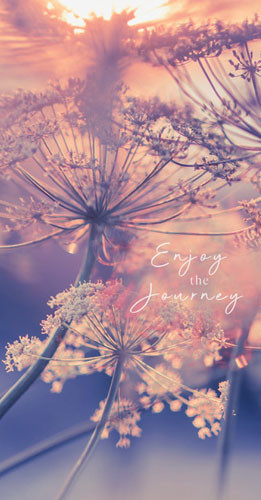 Wallpaper mit dem Zitat 'Enjoy the Journey'