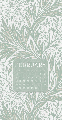 Wallpaper for February 2025 with calender