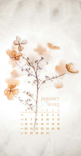 Wallpaper for January 2025 with calender