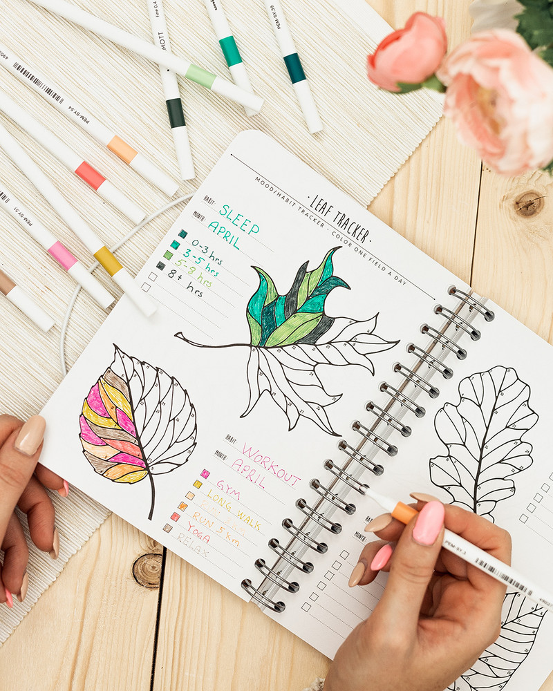 Habit Tracker Bullet Journal  Free Customizable Printables