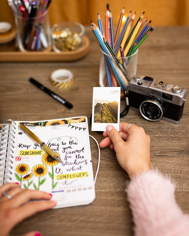 Polaroid photo of a sunflower on a colorful background